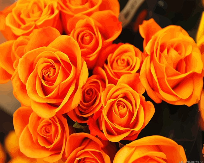 Orange Flowers Roses Painting By Numberss.png