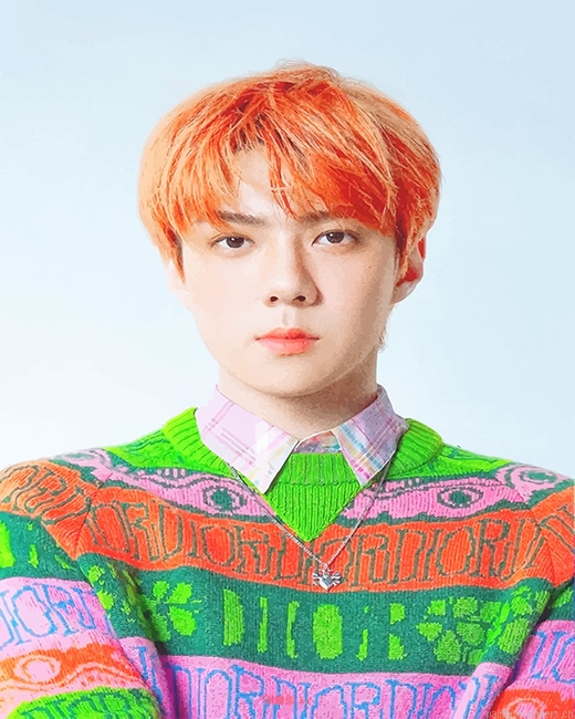 Orange Hair Oh Sehun Rappers Painting By Numberss.png