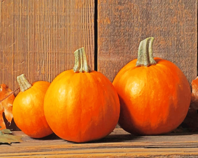 Orange Halloween Pumpkins Painting By Numberss.png