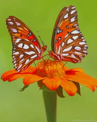 Orange Monarch Butterfly Painting By Numbers.png