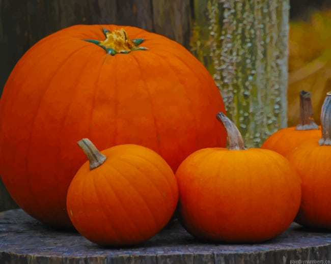 Orange Pumpkins Painting By Numberss.png