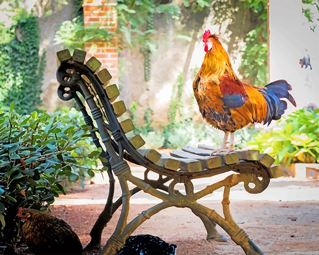 Orange Rooster On Bench Birds Painting By Numbers.png