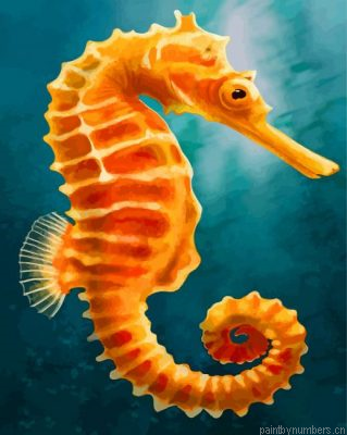 Orange Seahorse Painting By Numbers.png