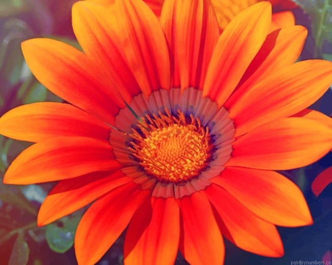 Orange Spring Sunflower Painting By Numberss.png