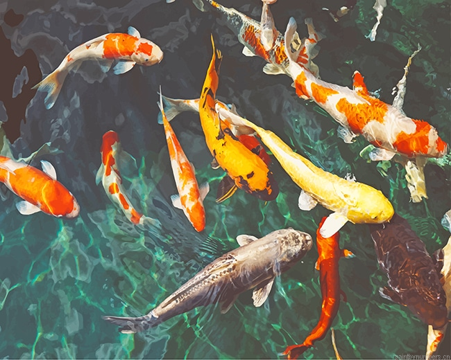 Orange And White Koi Fishes Painting By Numbers.png