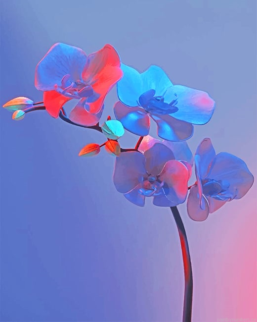 Orchid Plant Painting By Numberss.png