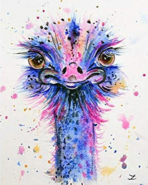 Ostrich Bird Painting By Numbers.png