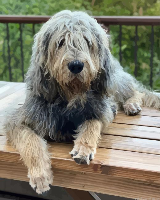 Otterhound Dog Painting By Numberss.png