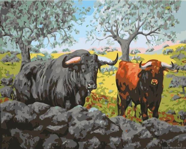 Ox Bull Painting By Numberss.png