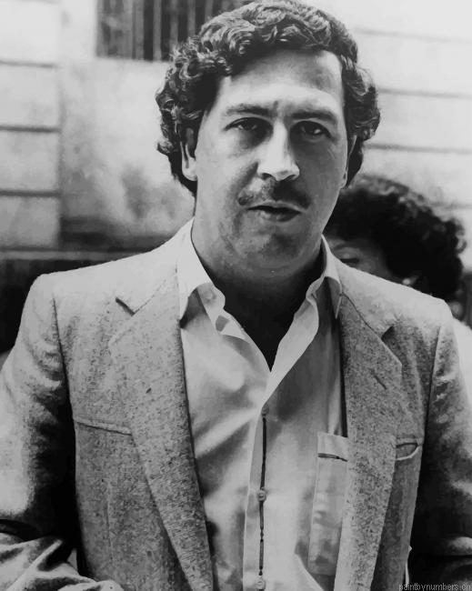 Pablo Escobar Painting By Numberss.png