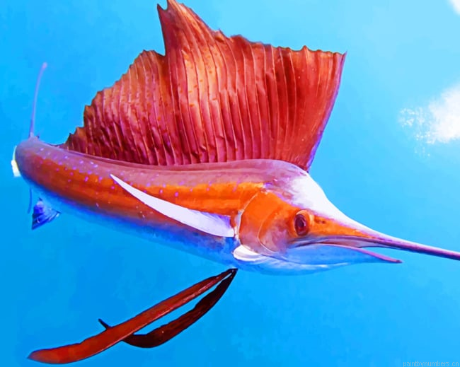 Pacific Sailfish In Thailand Ocean Painting By Numberss.png