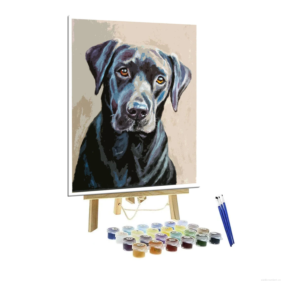 Painting By Numberss Personalized Kits.png