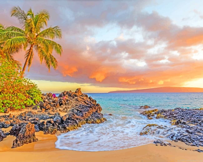 Palm Beach Seascapes Painting By Numbers.png