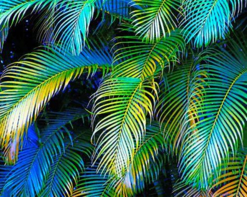Palm Leaves Painting By Numbers.png