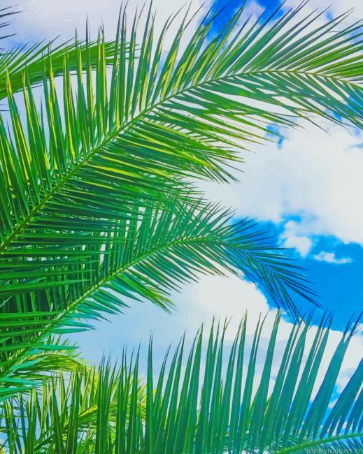 Palm Leaves Plants Painting By Numberss.png