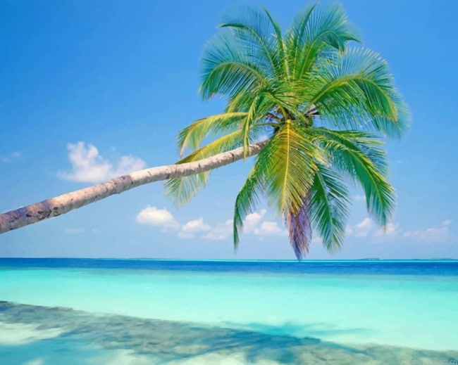 Palm Tree And Azure Water Seascapes Painting By Numberss.png