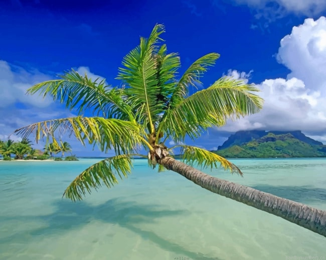 Palm Tree In Blue Beach Seascapes Painting By Numberss.png