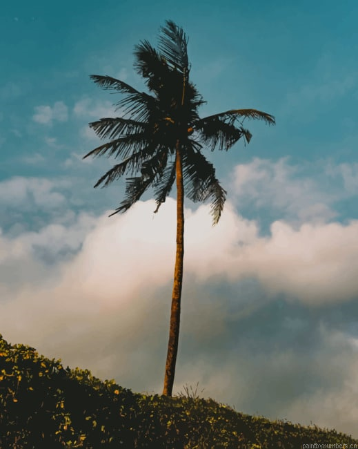 Palm Tree Painting By Numberss.png