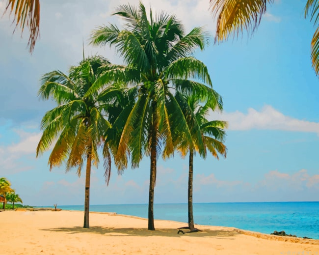 Palm Trees In The Beach Painting By Numberss.png