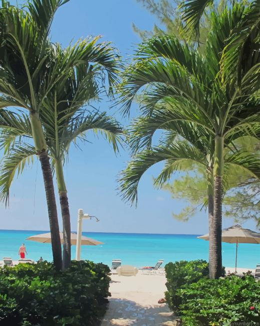 Palm Trees Island Painting By Numbers.png