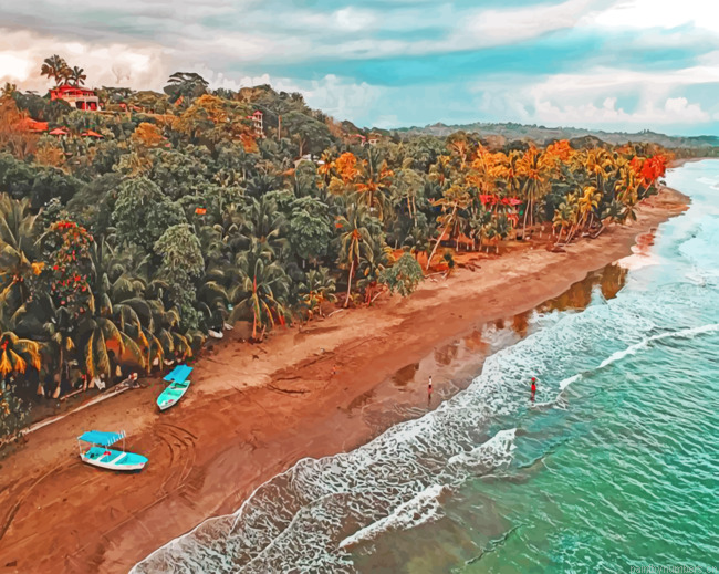 Palm Trees Of Costa Rica Painting By Numbers.png