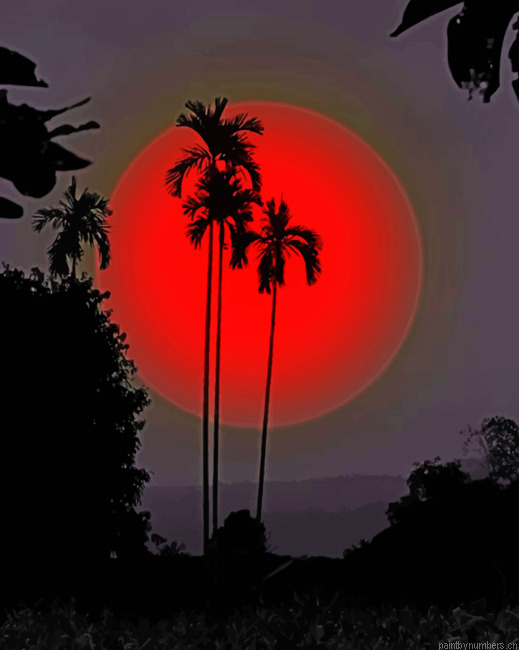 Palms Silhouette Sunset Painting By Numbers.png
