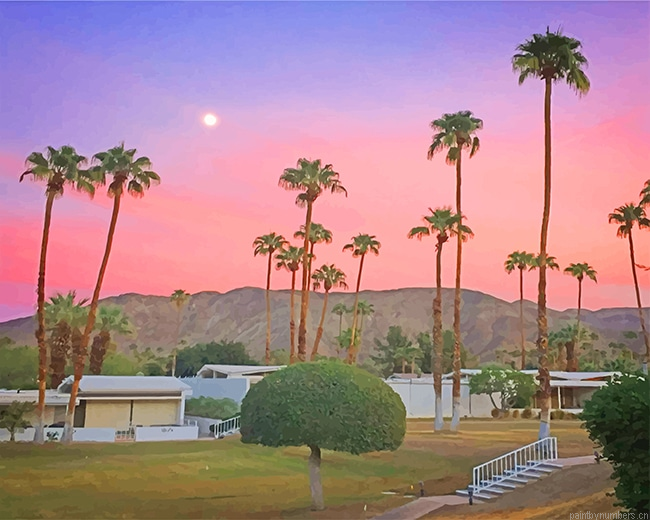 Palms Spring California Painting By Numberss.png