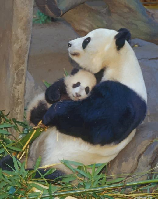 Panda Animals Painting By Numberss.png