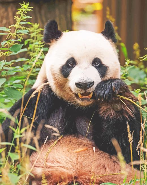 Panda Bear Enjoying His Food Animals Painting By Numberss.png