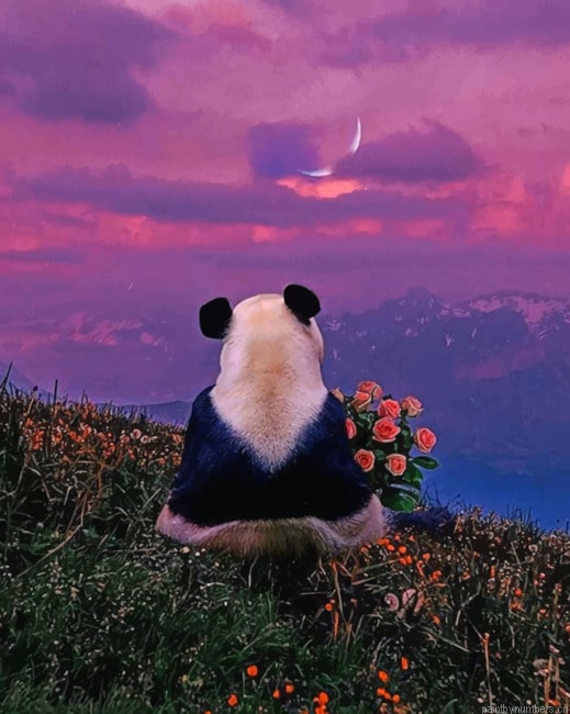 Panda Watching The Sunset Animals Painting By Numberss.png