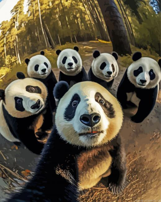 Pandas Selfie Painting By Numberss.png