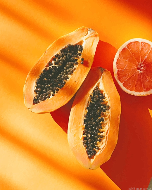 Papaya Fruit Food Painting By Numbers.png