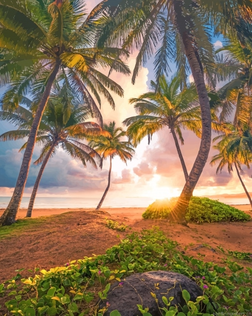 Paradise Nature New Painting By Numbers.png