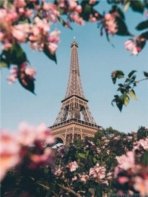 Paris Eiffel Tower In Spring Painting By Numbers.png