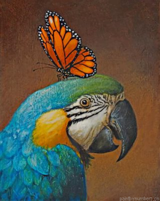 Parrot And Butterfly Painting By Numbers.png