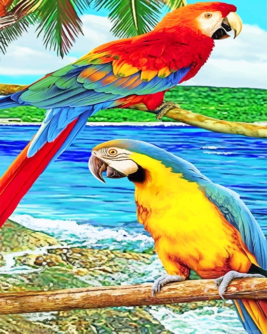 Parrots Birds Painting By Numberss.png