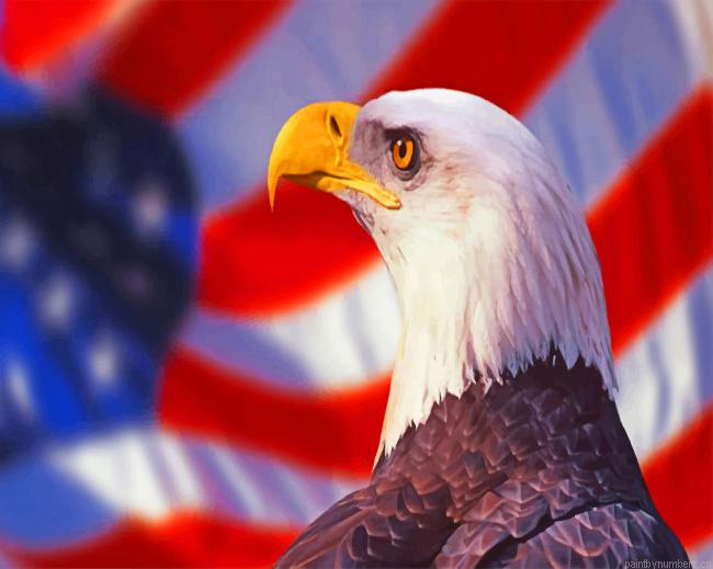 Patriotic Eagle Bird Painting By Numberss.png