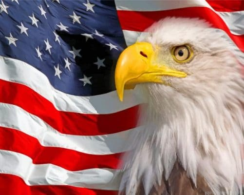 Patriotic Eagle Painting By Numbers.png