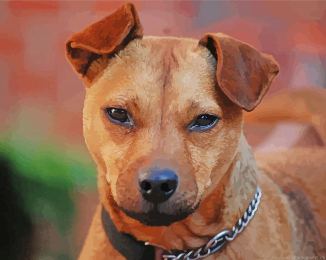 Patterdale Terrier Dog Painting By Numberss.png
