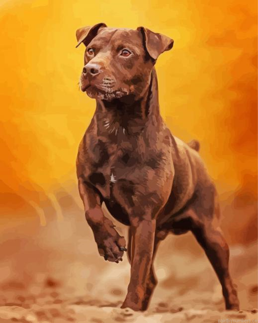 Patterdale Terrier Painting By Numberss.png