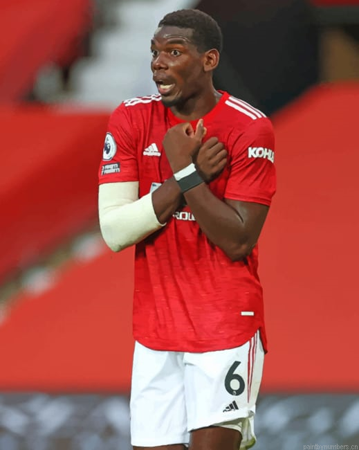 Paul Pogba Painting By Numberss.png