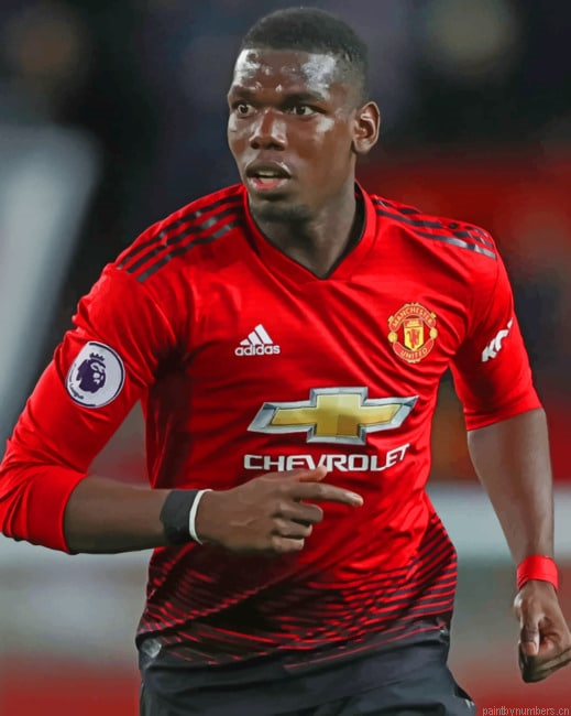 Paul Pogba Player Painting By Numberss.png