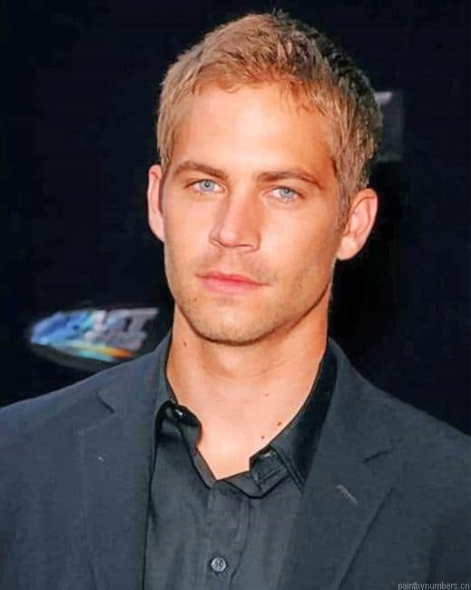 Paul Walker Actor Painting By Numberss.png
