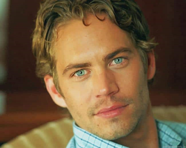 Paul Walker American Actor Painting By Numbers.png