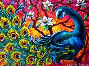 Peacock Birds Painting By Numbers.png