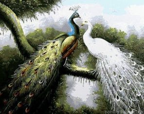 Peacock Couple Birds Painting By Numbers.png
