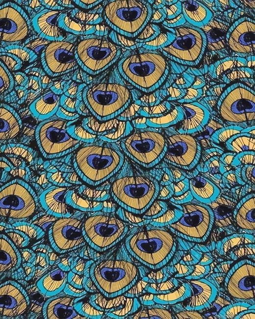 Peacock Feather Art Painting By Numberss.png