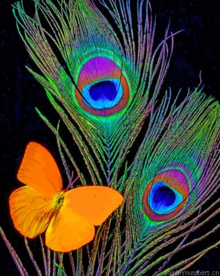 Peacock Feathers And Butterfly Painting By Numbers.png