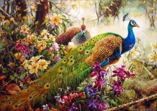 Peafowls Painting By Numbers.png