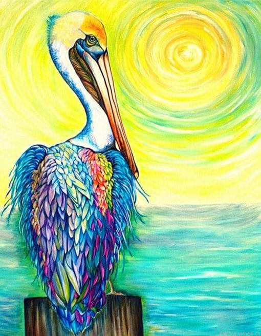 Pelican Artwork Birds Painting By Numbers.png